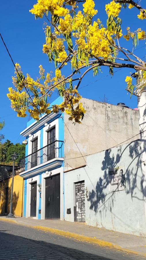 Departamentos Oaxaca Bonito 아파트 외부 사진